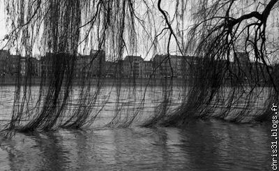 Les caprices d'un fleuve.